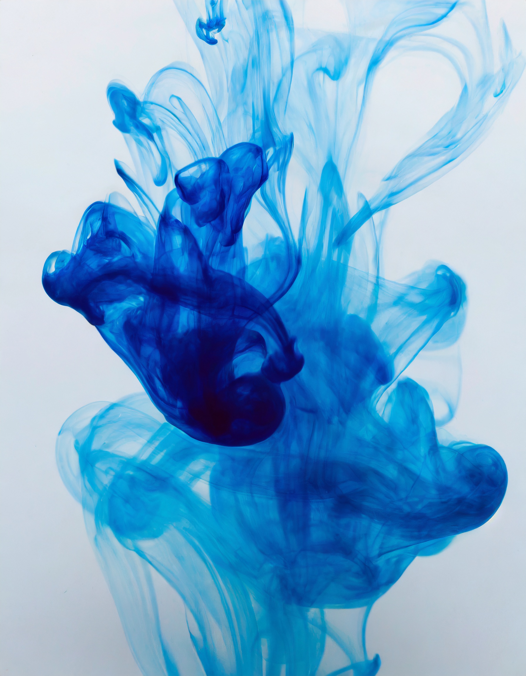 Firefly Mache mir eine fotografie zum Thema Blaudruck 30861