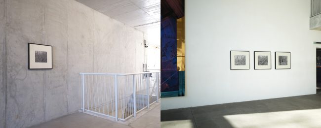 Ausstellung „liquid landscape“
